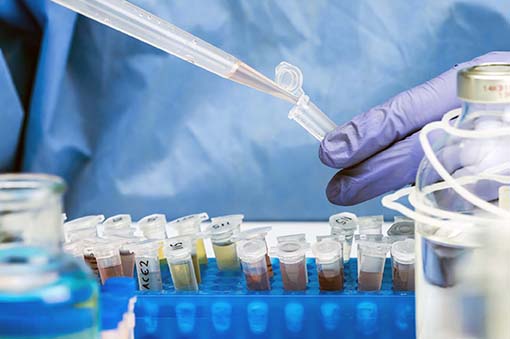 Illicit Drug Assessment
